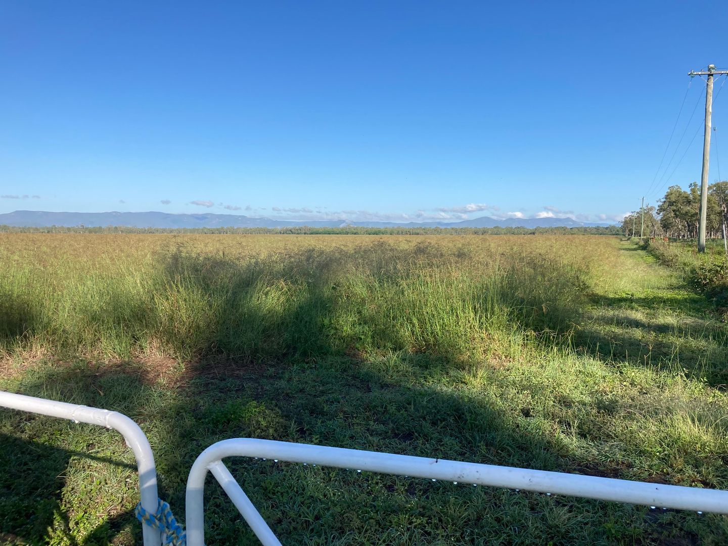 LOT 7 b Road, Majors Creek QLD 4816 Specialist Farm for Sale