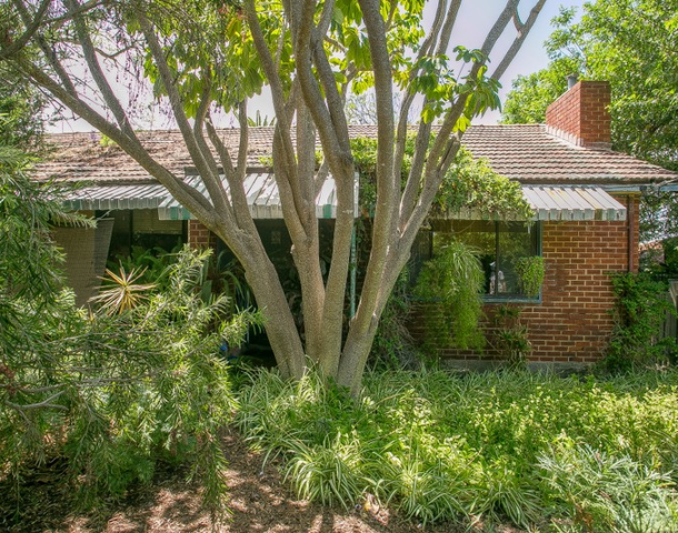 16 Wynyard Street, Yokine WA 6060