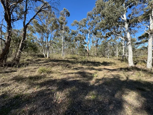Image 9