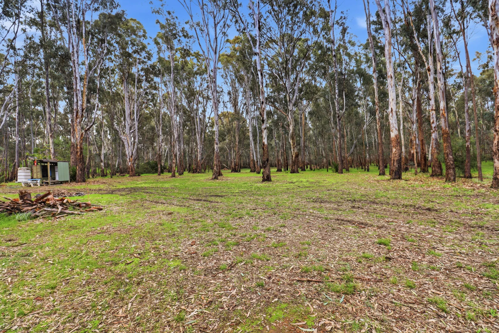 Image 10