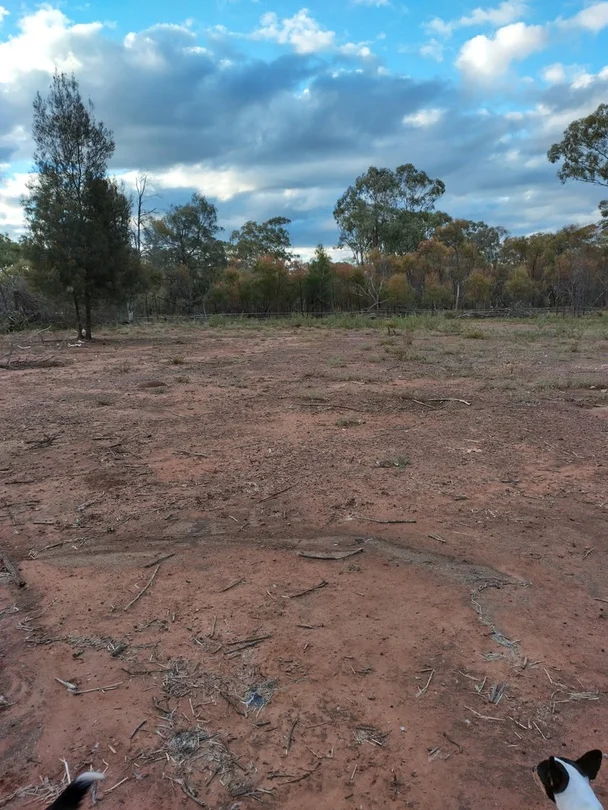 Tara QLD 4421