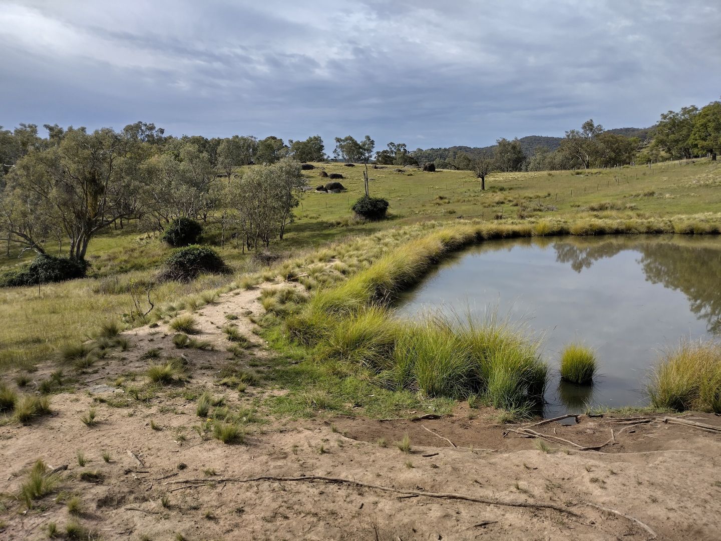 Lot 5 Foggs Crossing Road, Bigga NSW 2583, Image 1