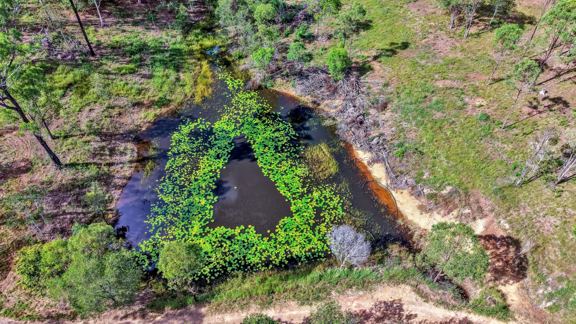 Additional image 15 of 24 Gerard Drive, Horse Camp QLD 4671