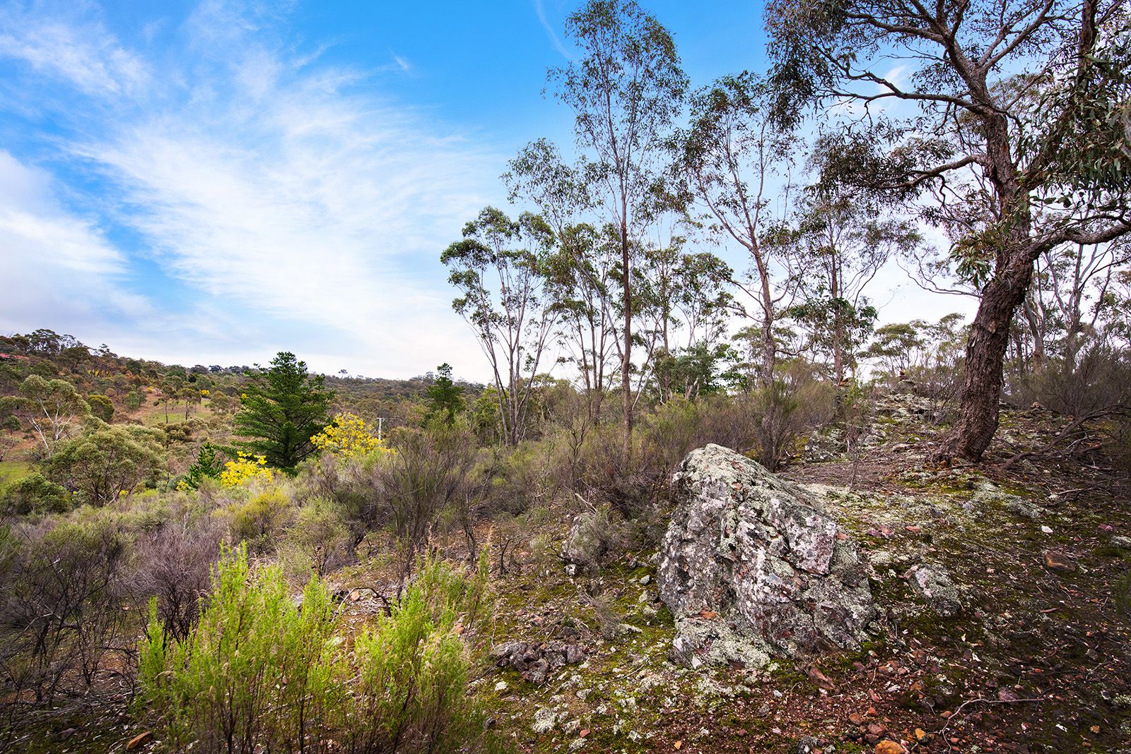 31 Congdon Road, Barkers Creek VIC 3451, Image 2