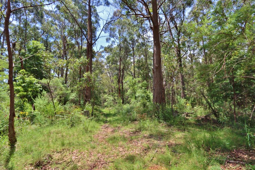 2844 Mt Darragh Road, Wyndham NSW 2550, Image 1