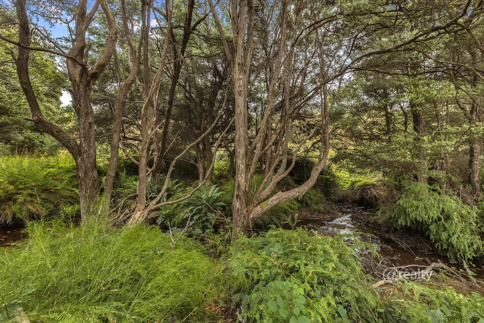 Image 15