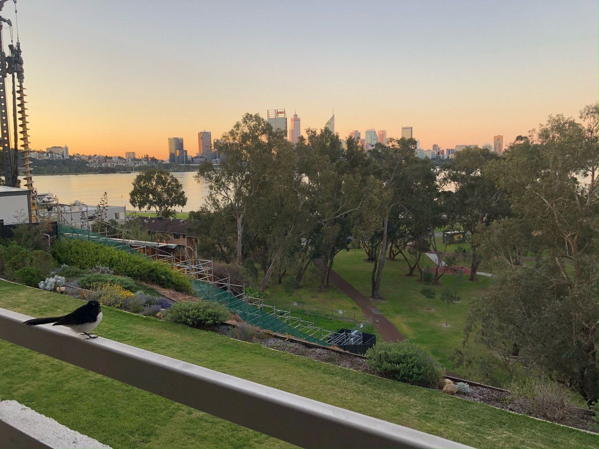 7/144 Mill Point Road, South Perth WA 6151 Apartment For Rent 530 Domain