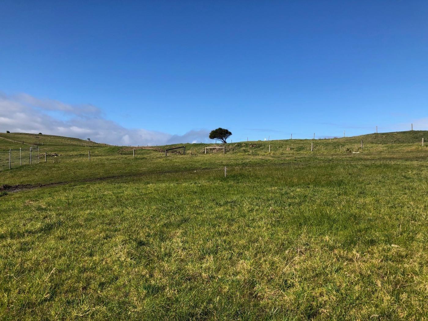 Lot 404 Penniwells Drive, San Remo VIC 3925, Image 2