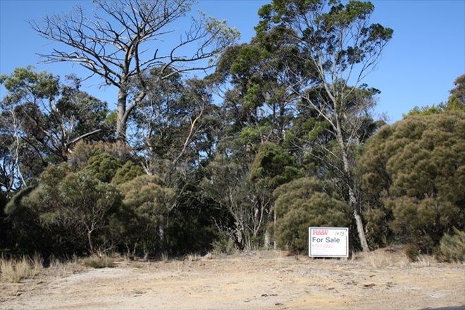 Picture of WENTWORTH FALLS NSW 2782