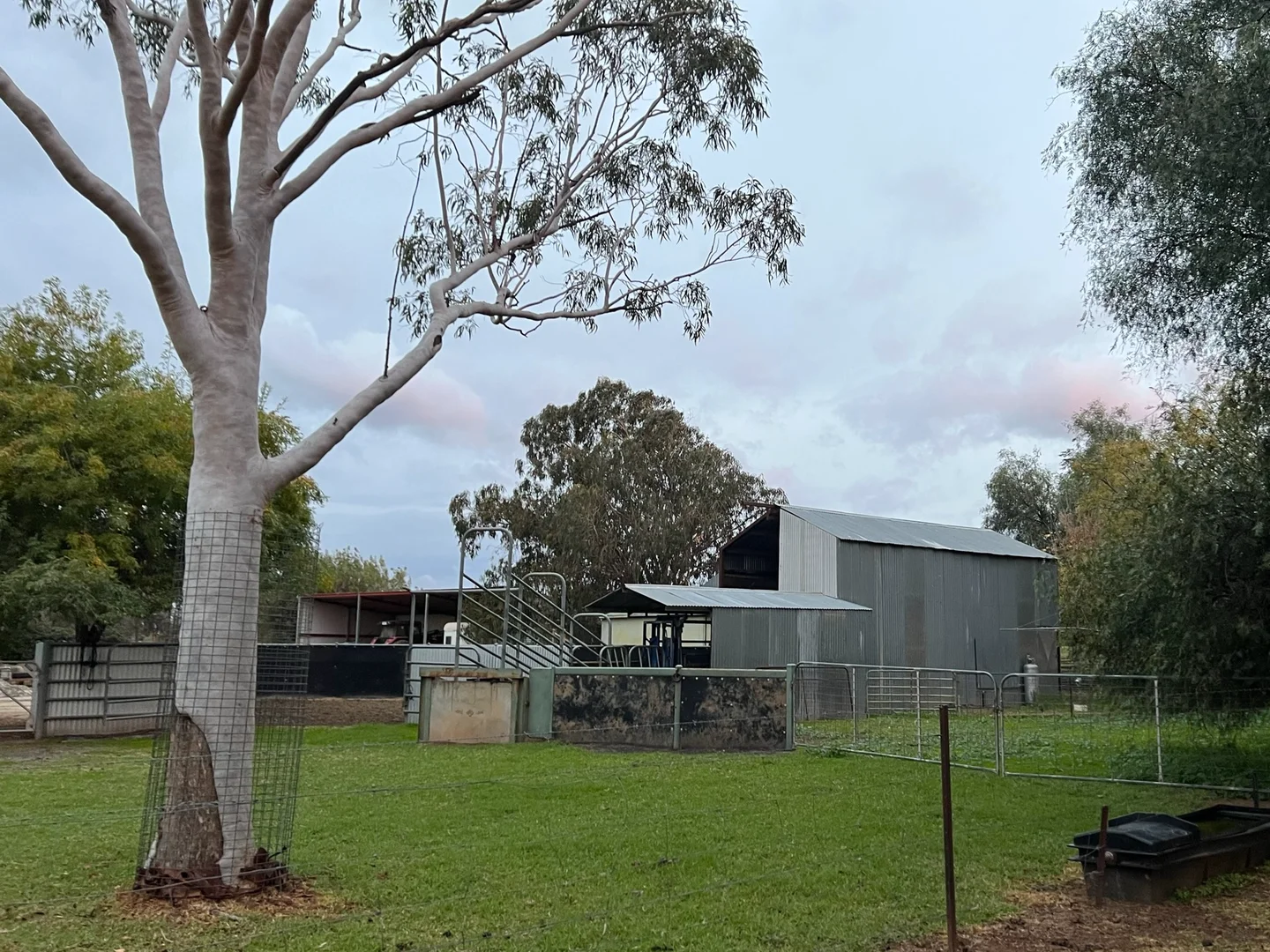 Image 19