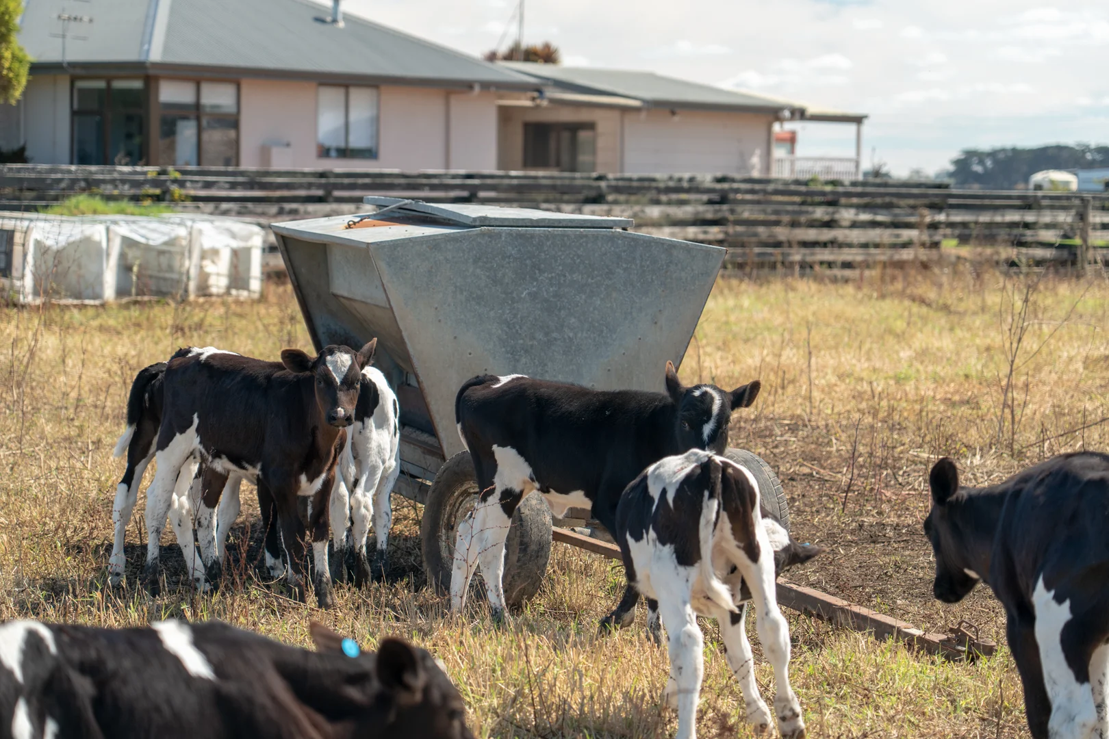 Additional image 7 of 44 Spinks Road, Kirkstall VIC 3283