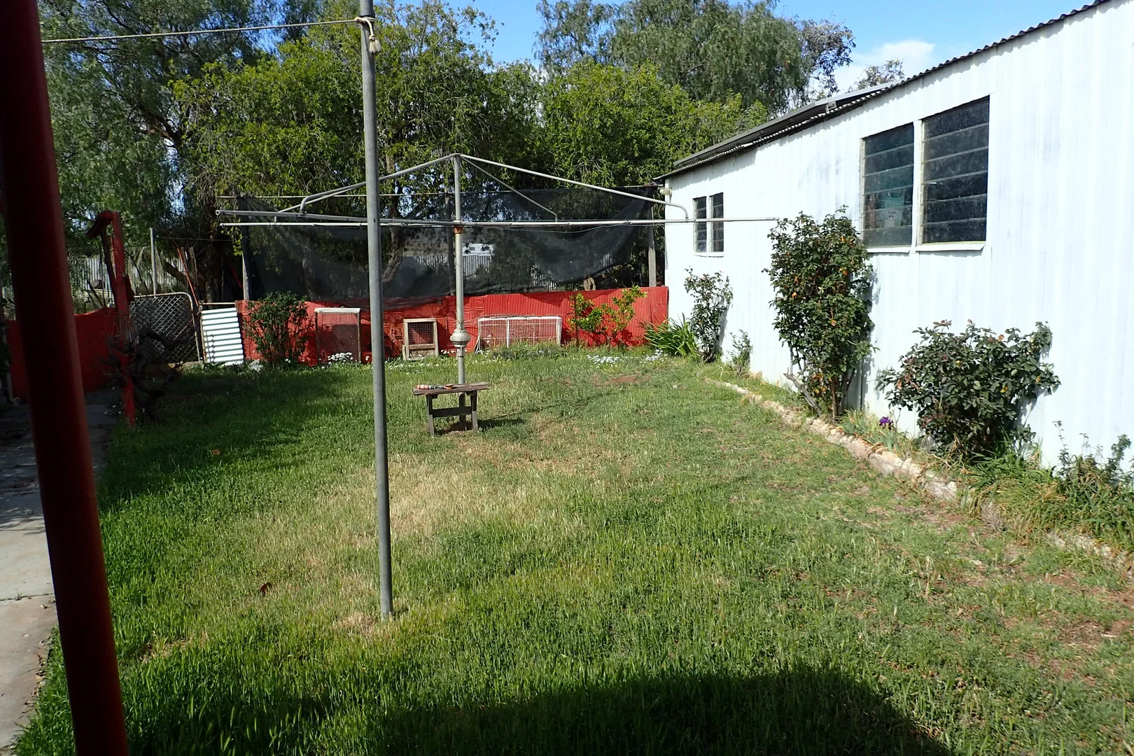 Image 13