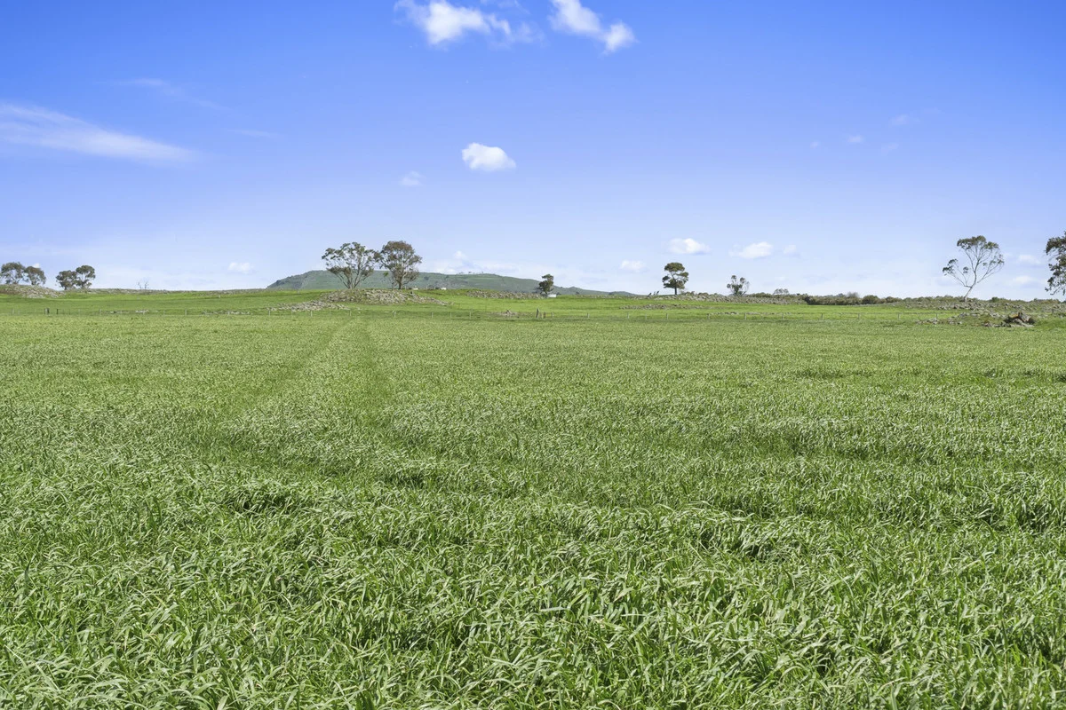 Image 38