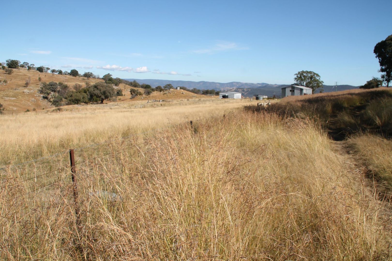 Lot 15 Gunyah Road, Tenterfield NSW 2372, Image 2