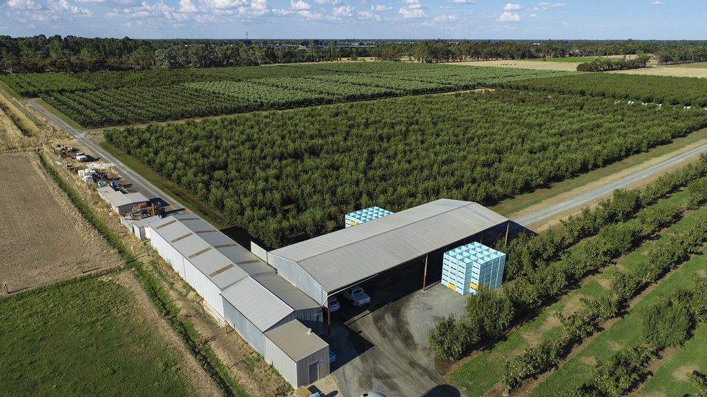 Specialist Farm in , KYABRAM VIC, 3620