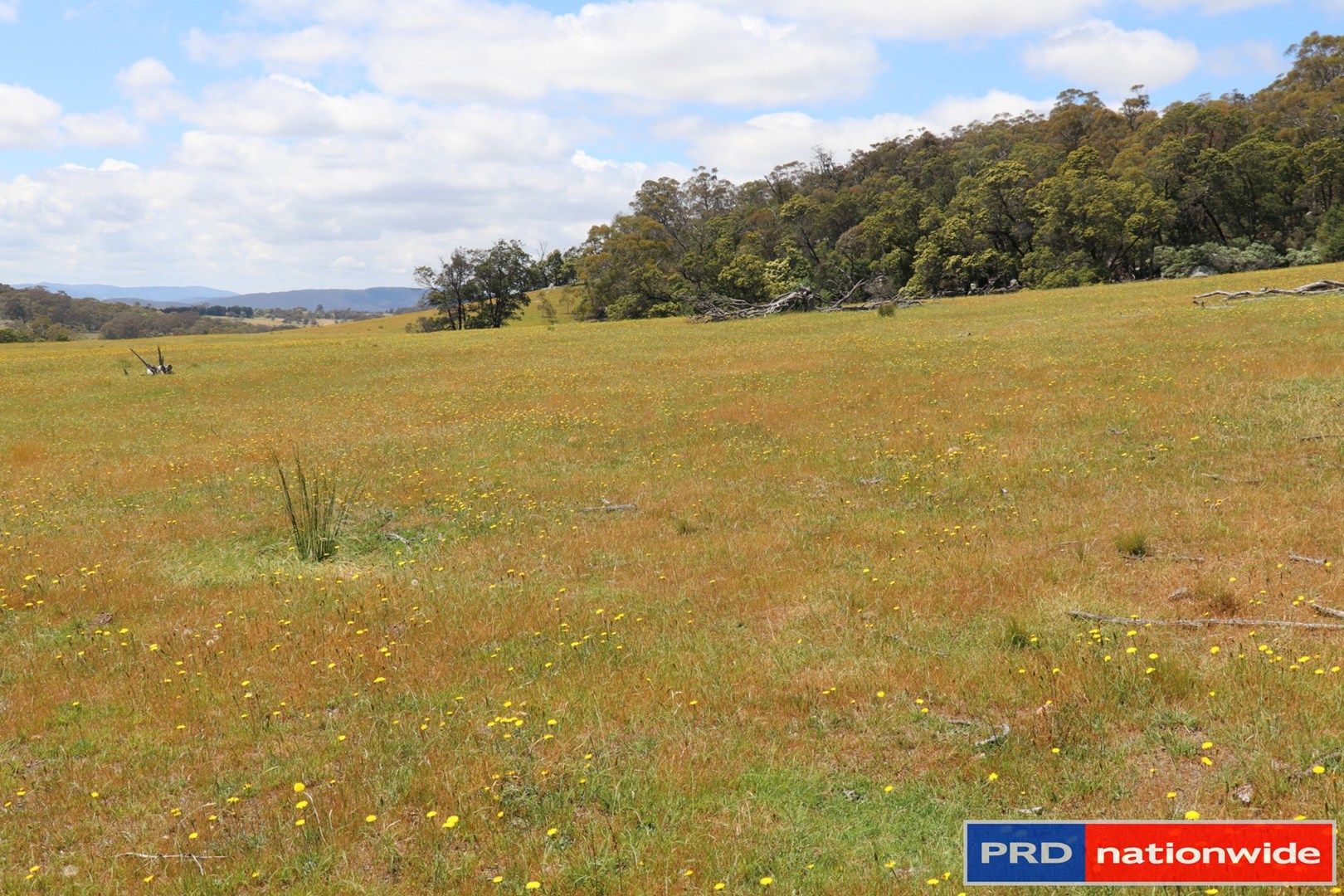 1695 Marked Tree Road, Gundaroo NSW 2620, Image 0