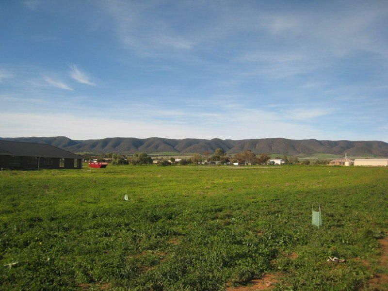 Lot 971 Scenic Drive, Napperby SA 5540, Image 1