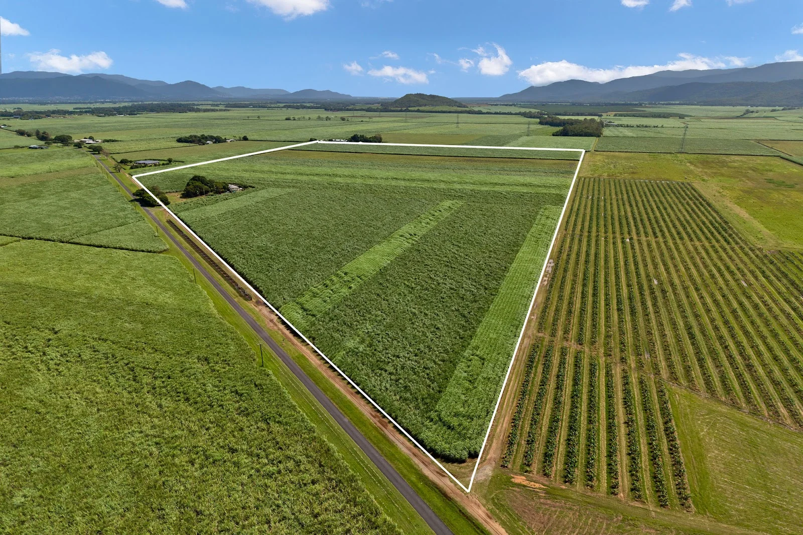 229 Russell Road, Gordonvale QLD 4865