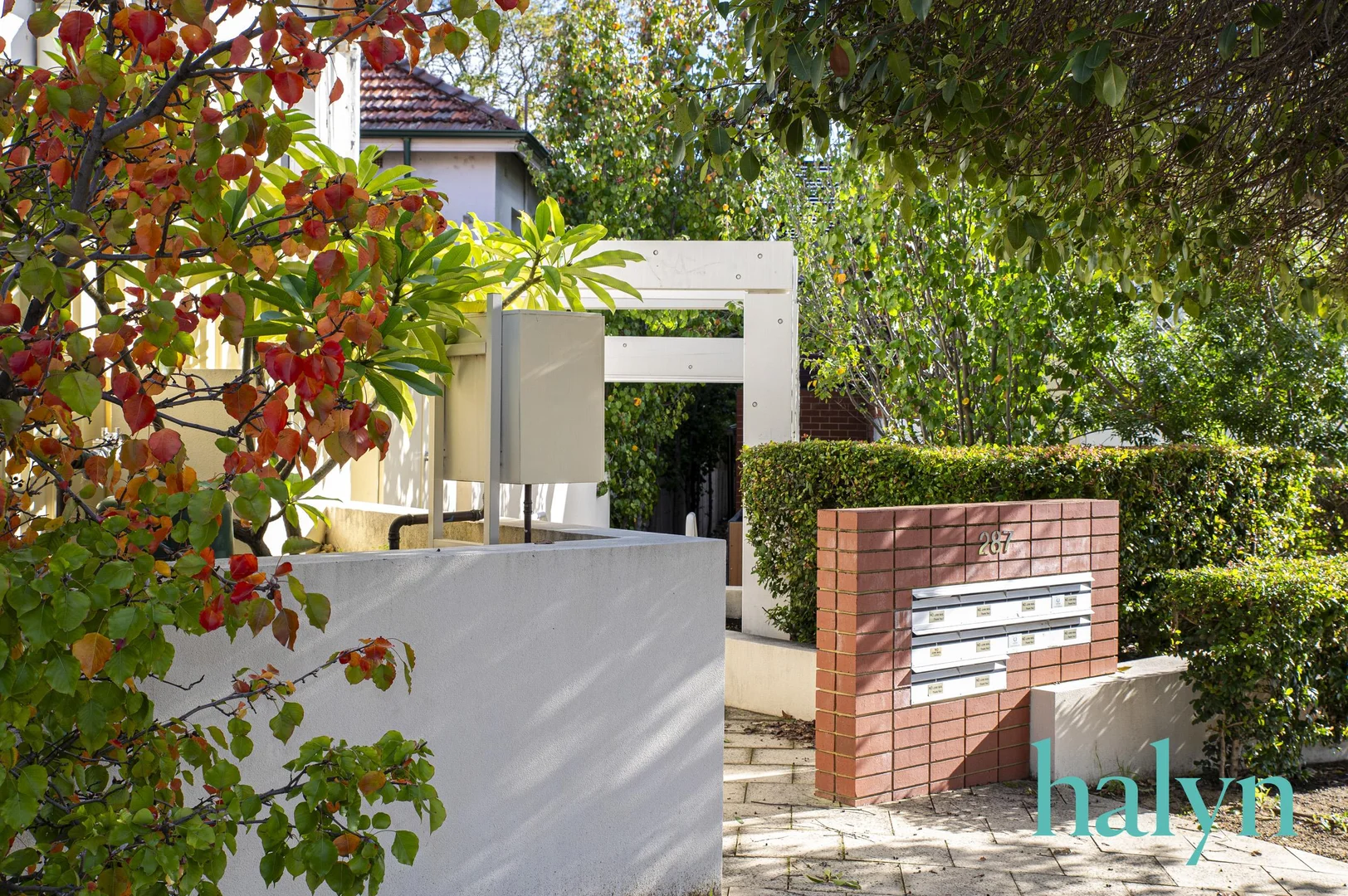 Image 15