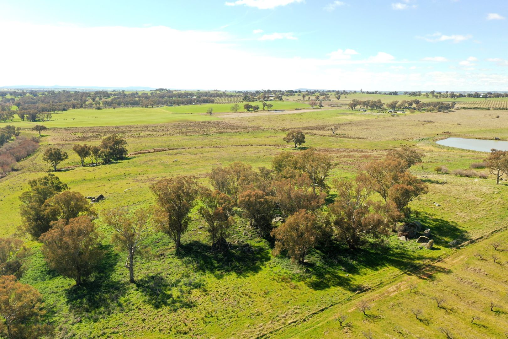 Lot 225 Maimuru SS Road, Maimuru NSW 2594, Image 2