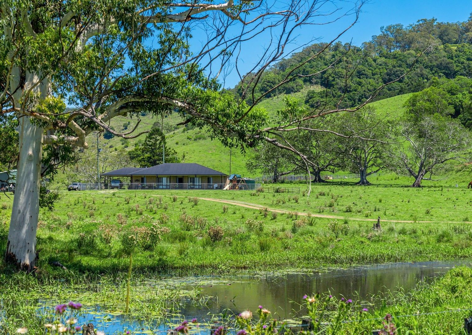 49 Hicks Road, Spring Grove NSW 2470 House for Sale Domain