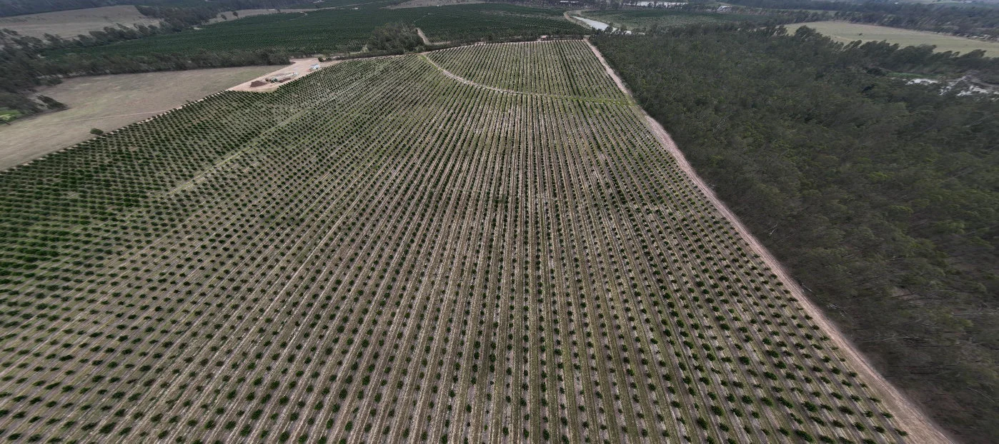 Additional image 9 of Bucca QLD 4670