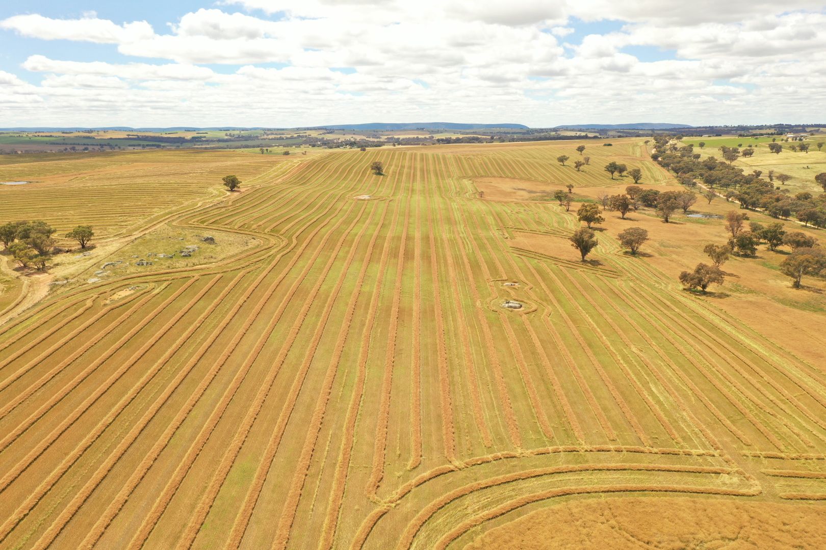 476 Monteagle Stock Route West Road, Monteagle NSW 2594, Image 1