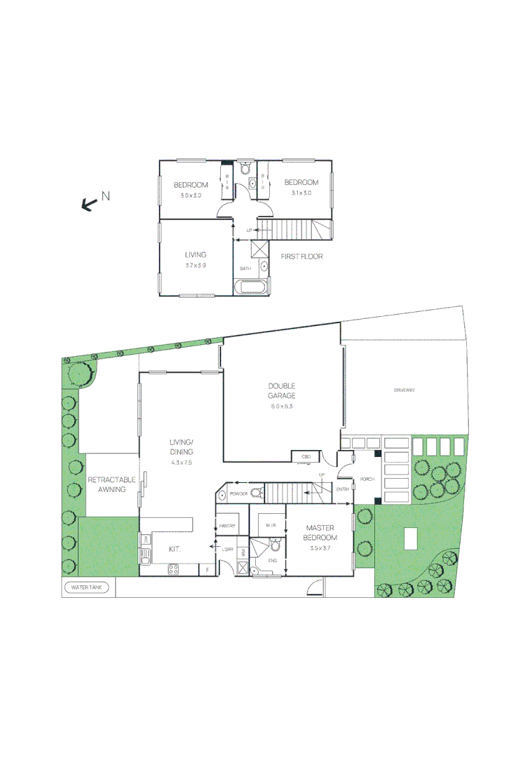Image 11