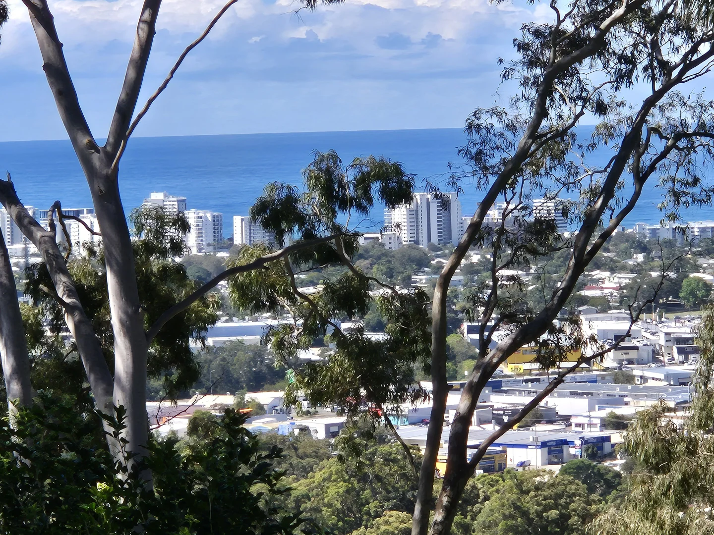 Image 10