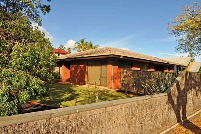 Picture of 17A Brigalow Avenue, KENSINGTON GARDENS SA 5068