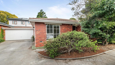Picture of 1/36 Greenwood Street, BURWOOD VIC 3125