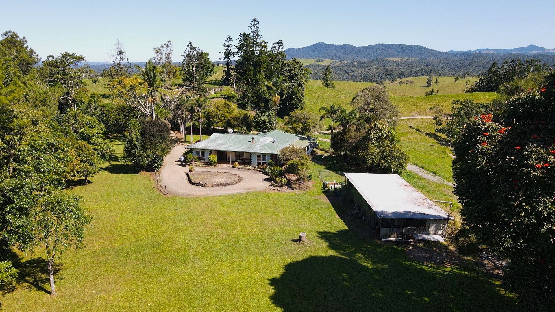 Millaa Millaa QLD 4886 House for Sale Domain