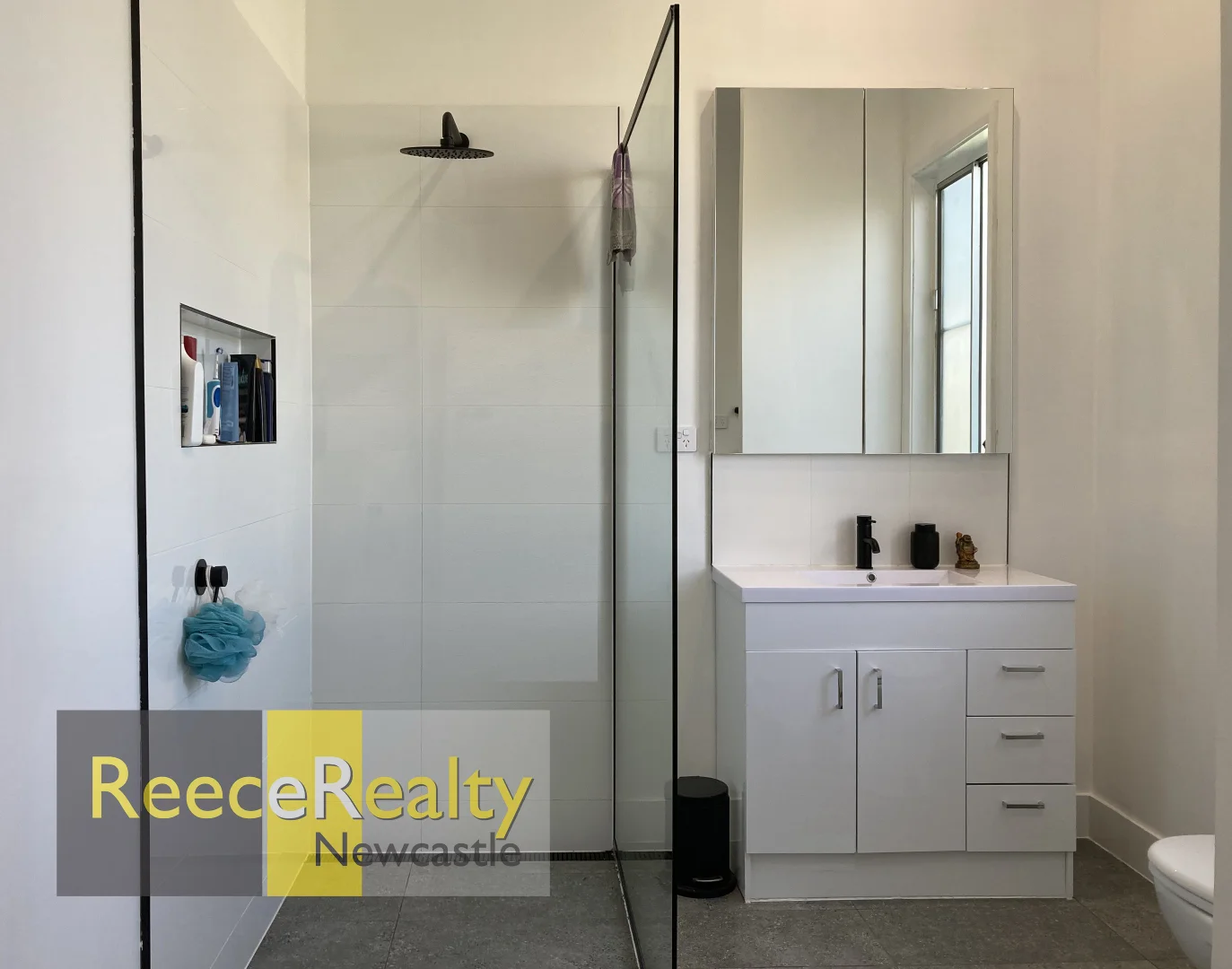 Additional image 4 of 25 Woodstock Street, Mayfield NSW 2304