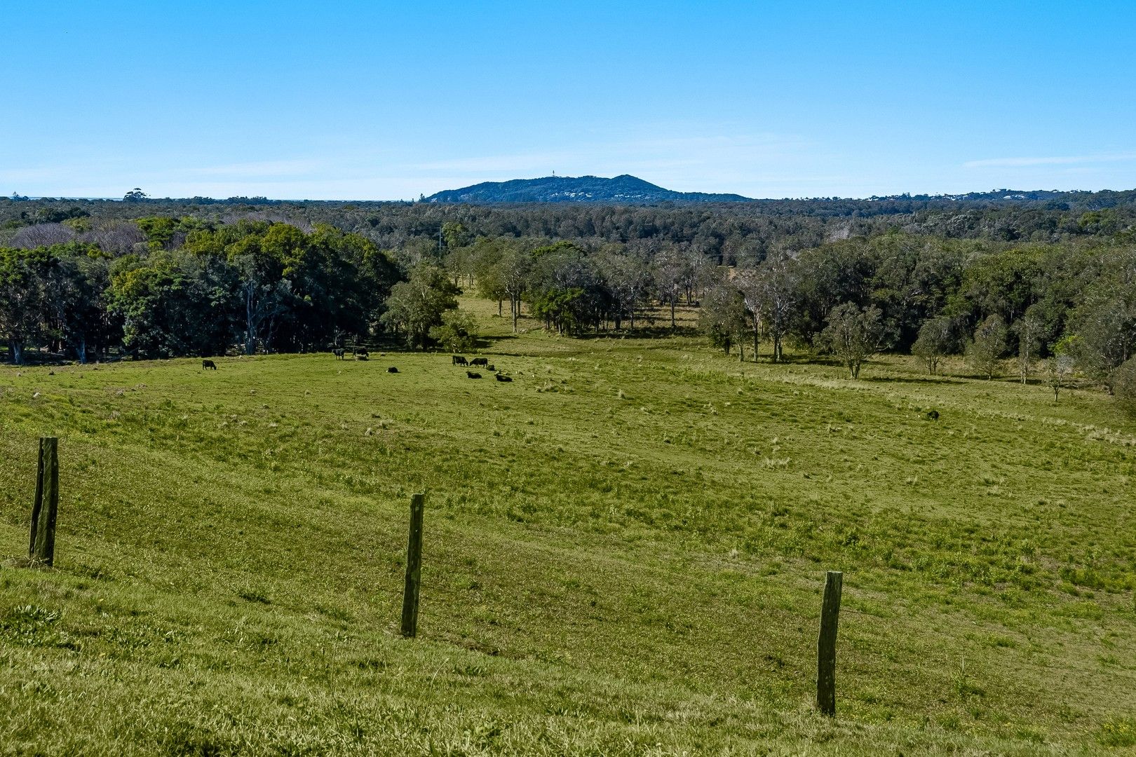 Scenic Vista Drive, Ewingsdale NSW 2481 Domain