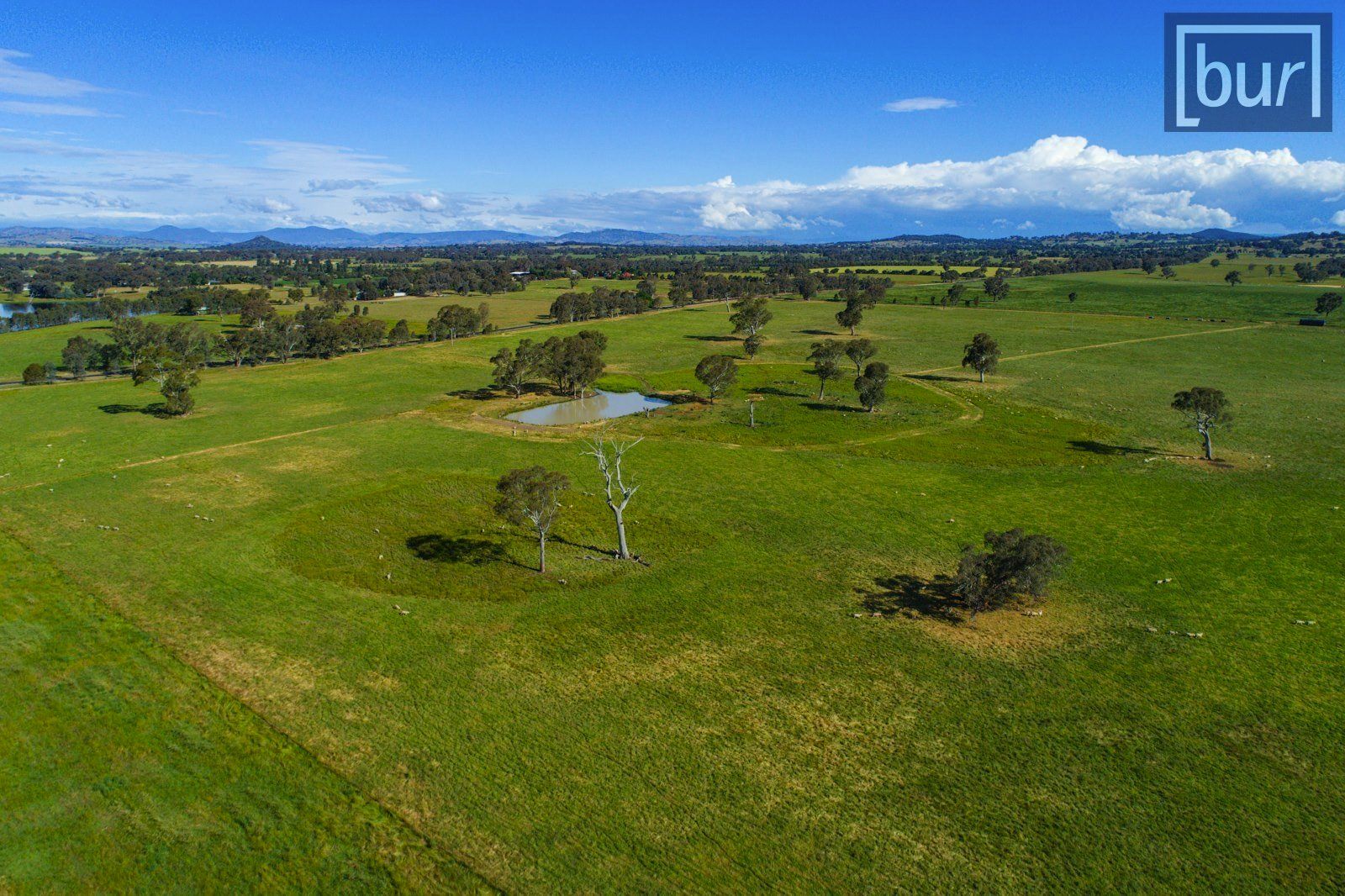 1139 Gerogery Road, Gerogery NSW 2642, Image 1