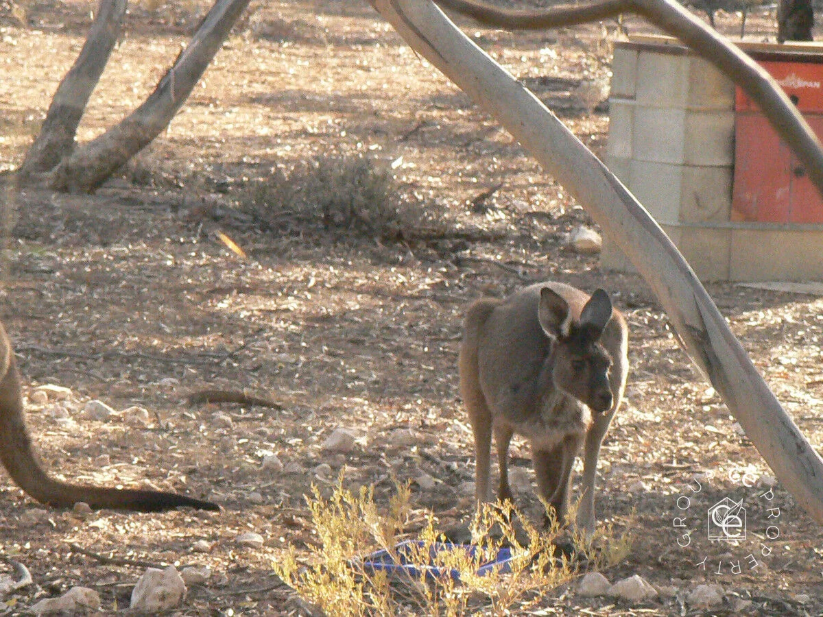 Additional image 30 of 385 Pipeline Road, Fisher SA 5354