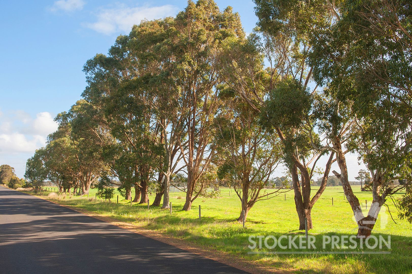 Lot 130 Gale Road, Metricup WA 6280, Image 1