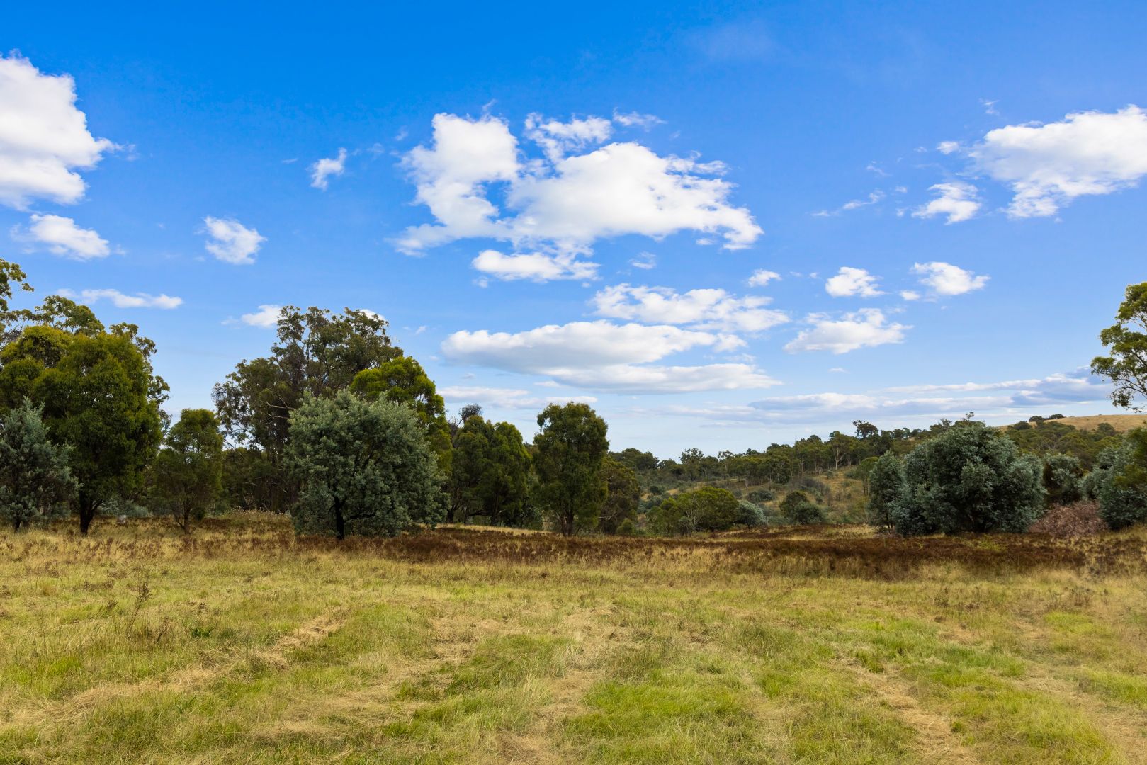 384 Old Federal Highway, Bywong NSW 2621, Image 1