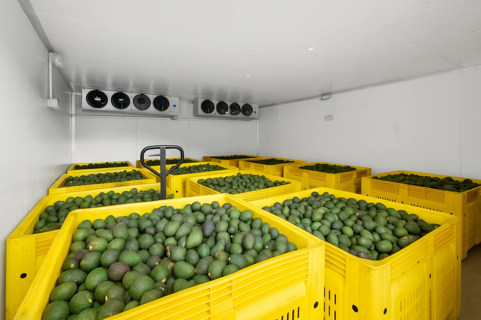 Additional image 28 of 480 Ponsfords Road, Comboyne NSW 2429