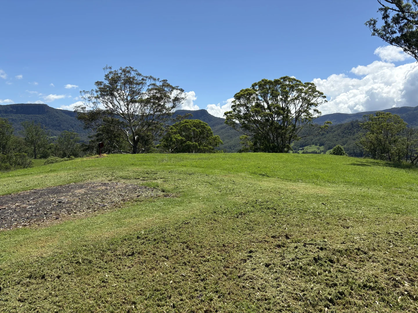 Image 16