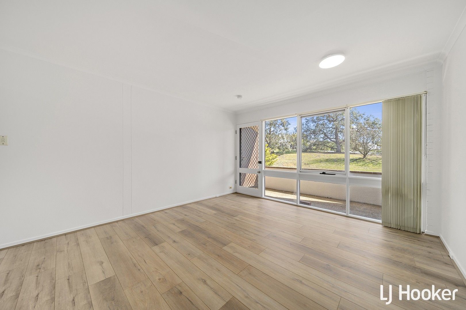 3/8 Corinna Street, Lyons ACT 2606, Image 0