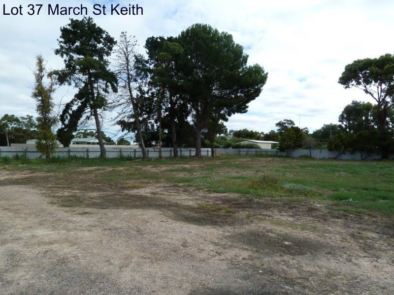 Lot 37 March Street, Keith SA 5267, Image 2