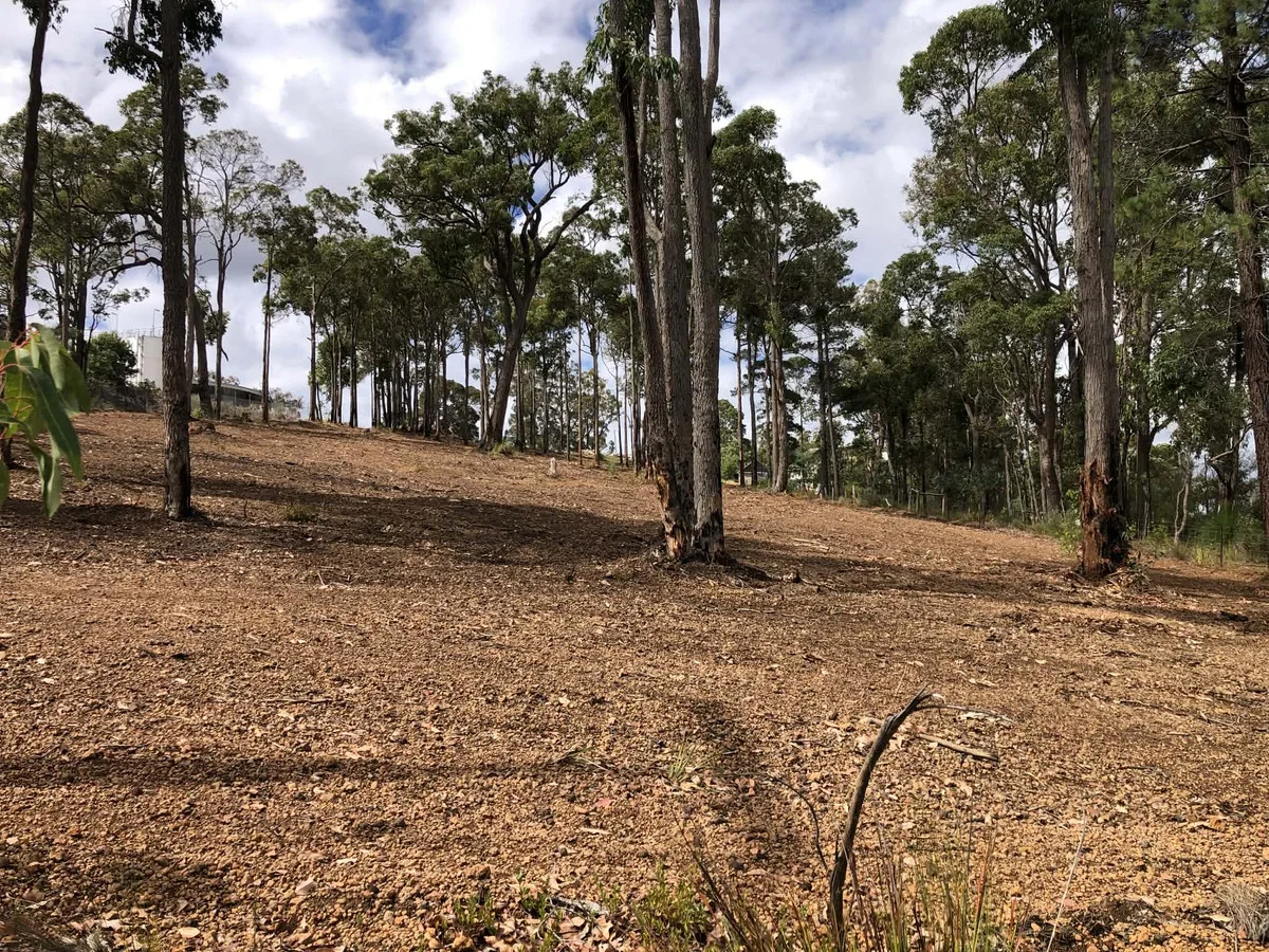 Additional image 7 of 51 Carey Street, Nannup WA 6275