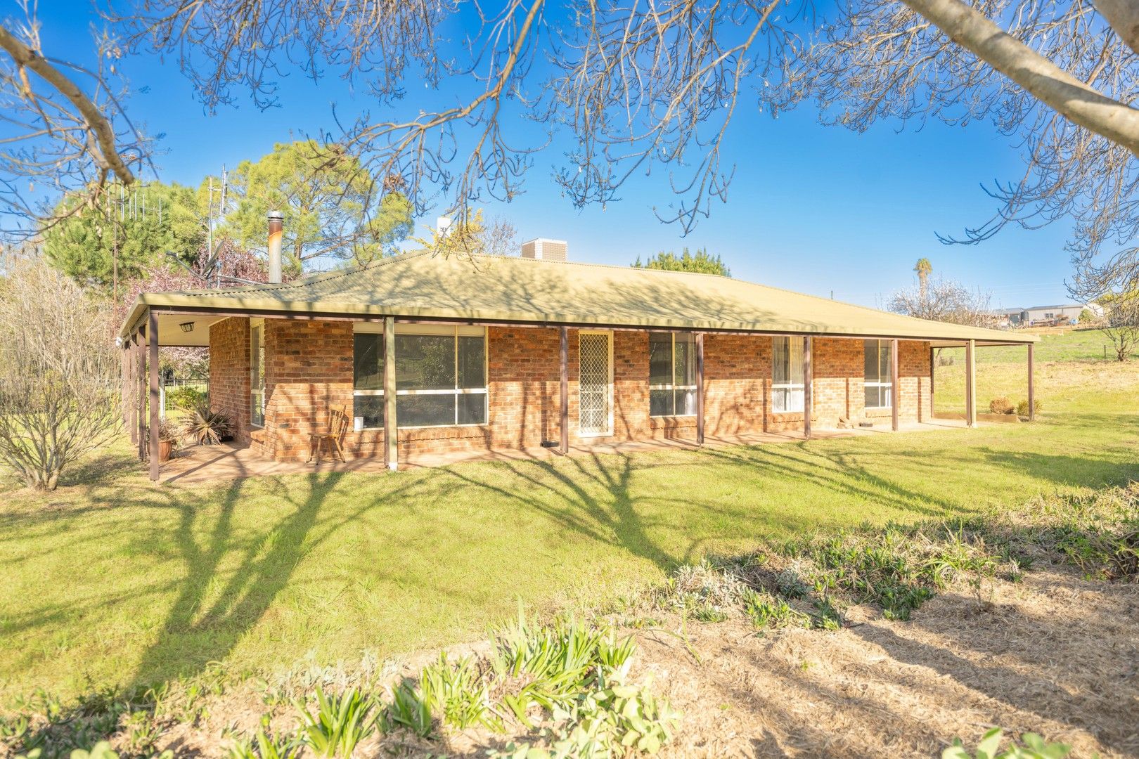 80 Tipperary Lane, Young NSW 2594, Image 0