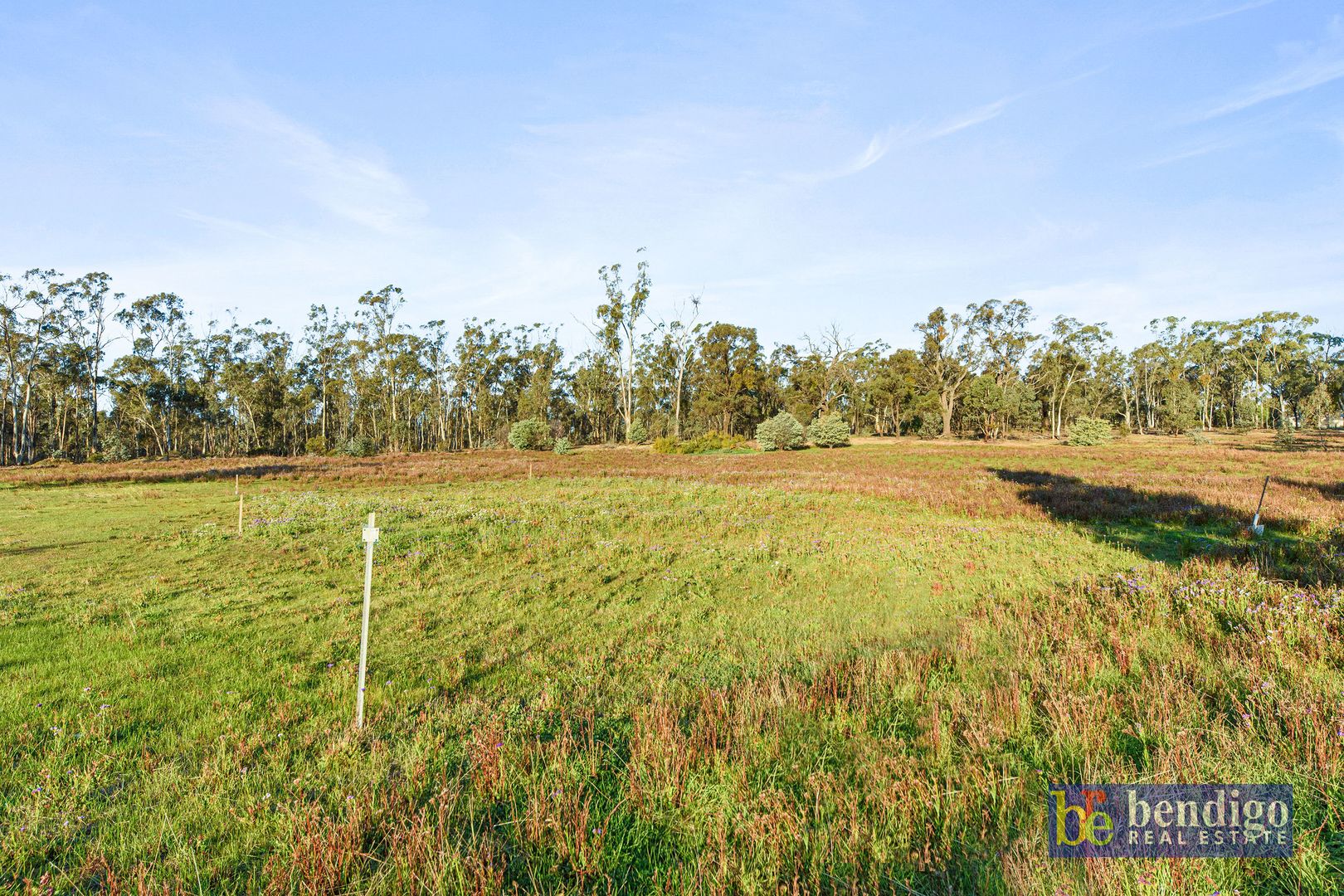 1 Welsh Street, Tarnagulla VIC 3551, Image 2