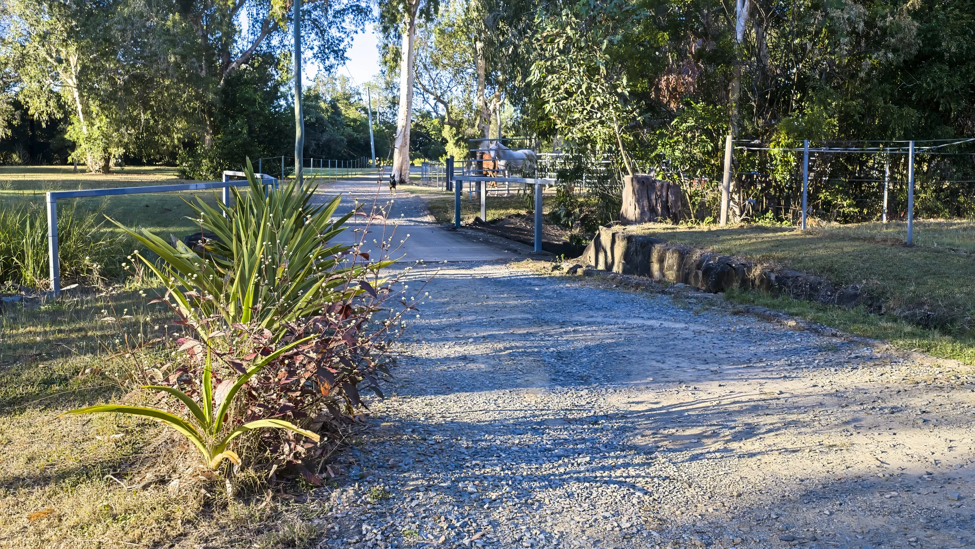 Image 27