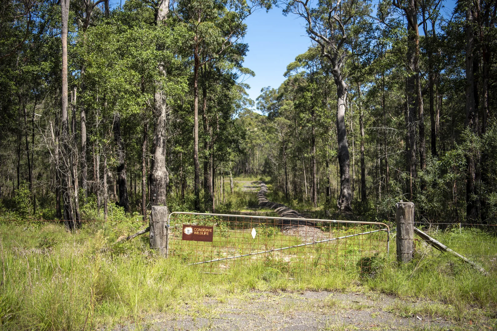 Additional image 5 of Lot 2 Parnell Road, Tomerong NSW 2540
