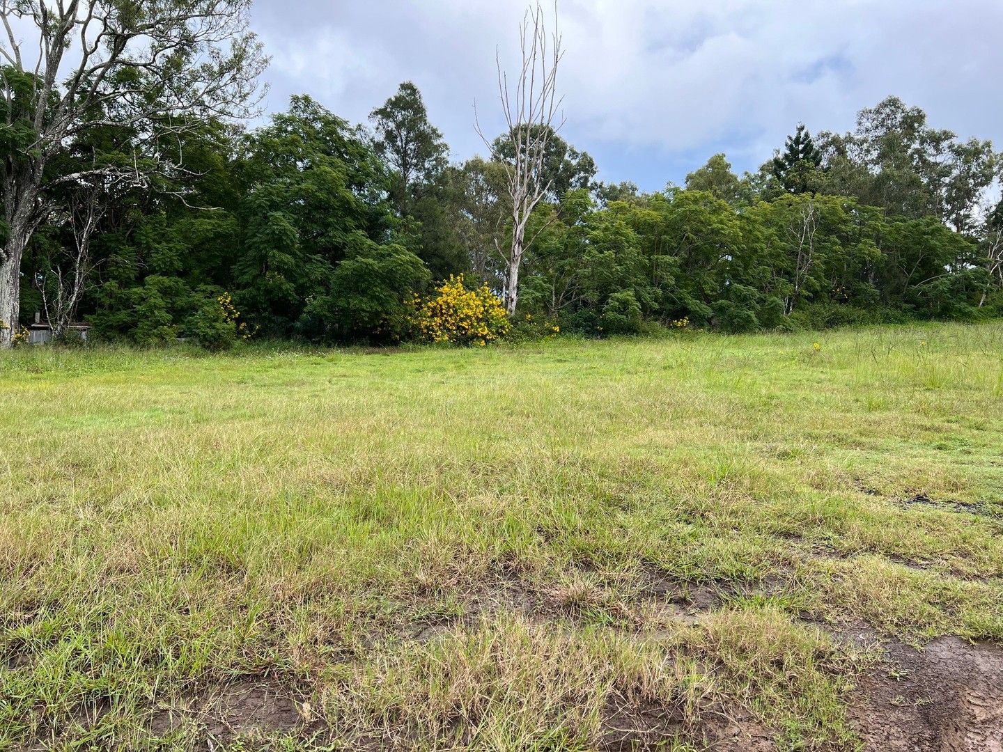 Woodhill QLD 4285 vacant land for Sale, 505,000 2019198822 Domain