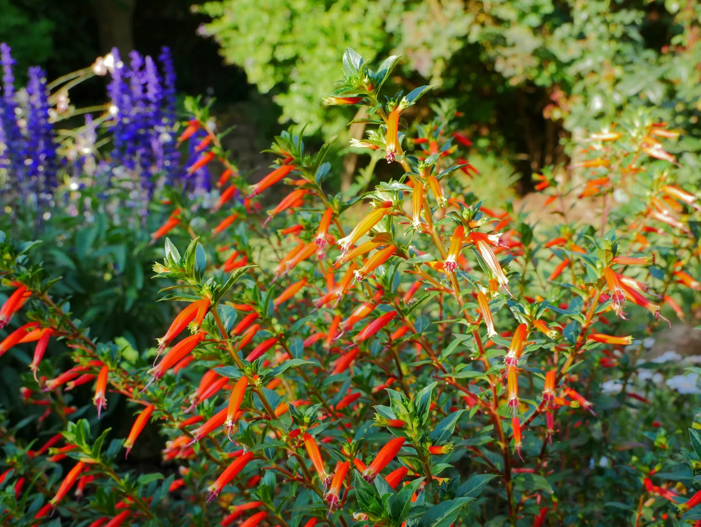 Image 16