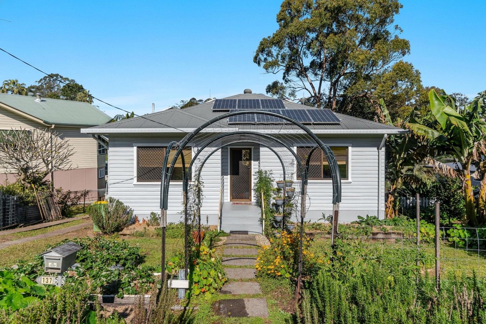 137 New Ballina Road, Lismore Heights NSW 2480 House For Rent Domain